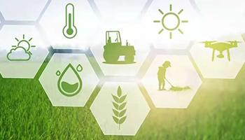 智能温室高质量发展的趋势和前景，设施农业人必看！