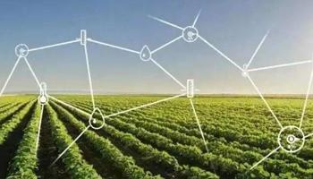 让数字技术牵手农业，直面问题，开创未来